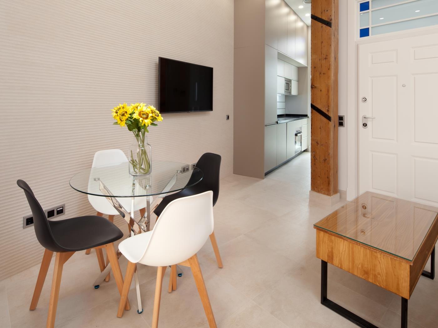 INMálaga Apartments Santos Suites